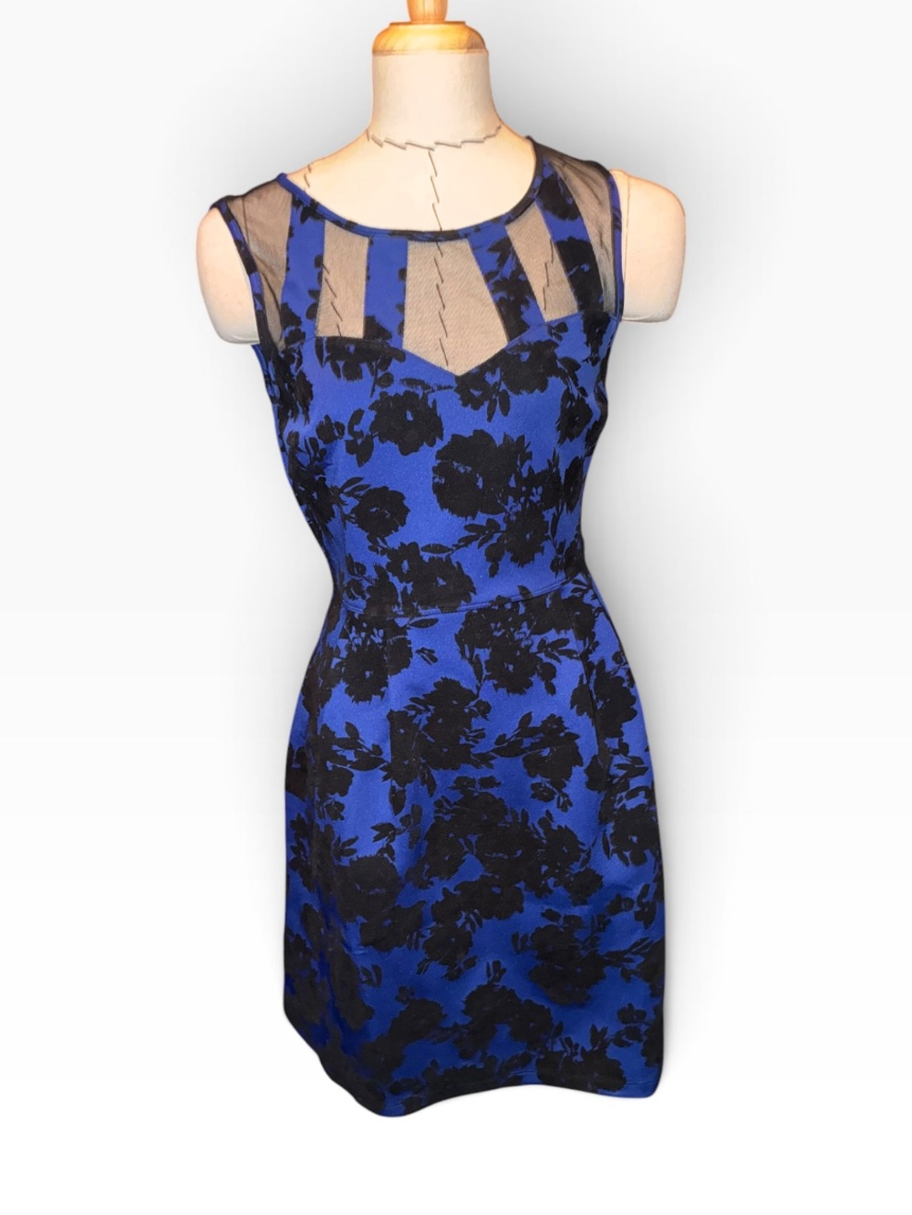 Sweet Storm Blue and Black Floral Mesh-Yoke Mini Dress